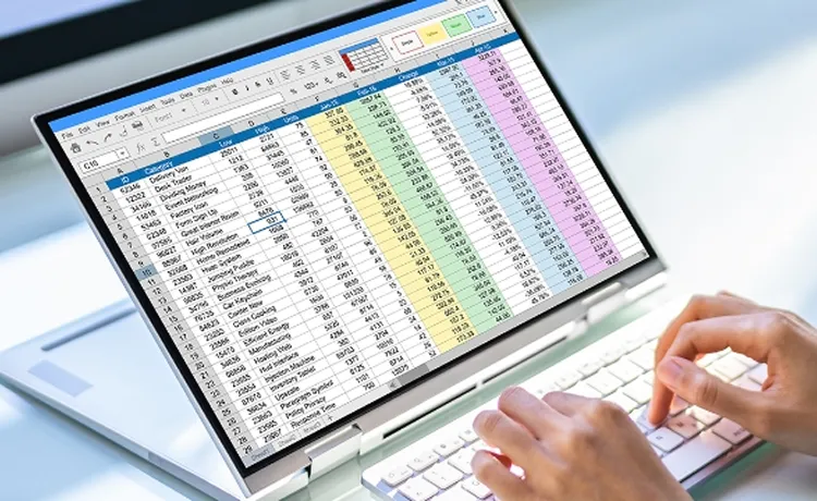 microsoft excelで表管理をしている写真