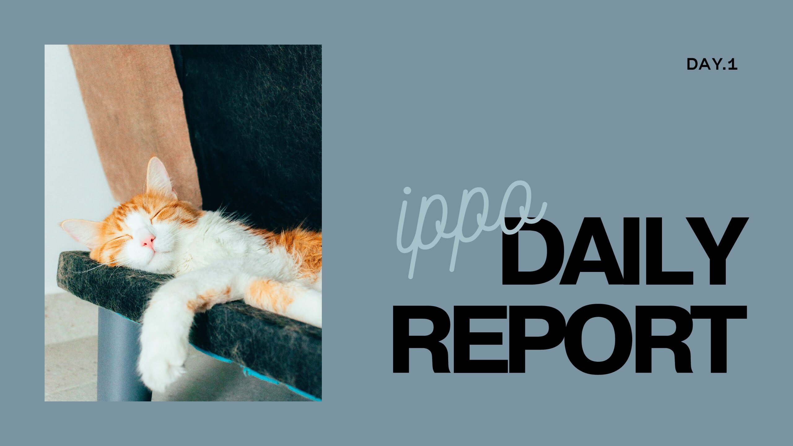 日報のアイキャッチ画像