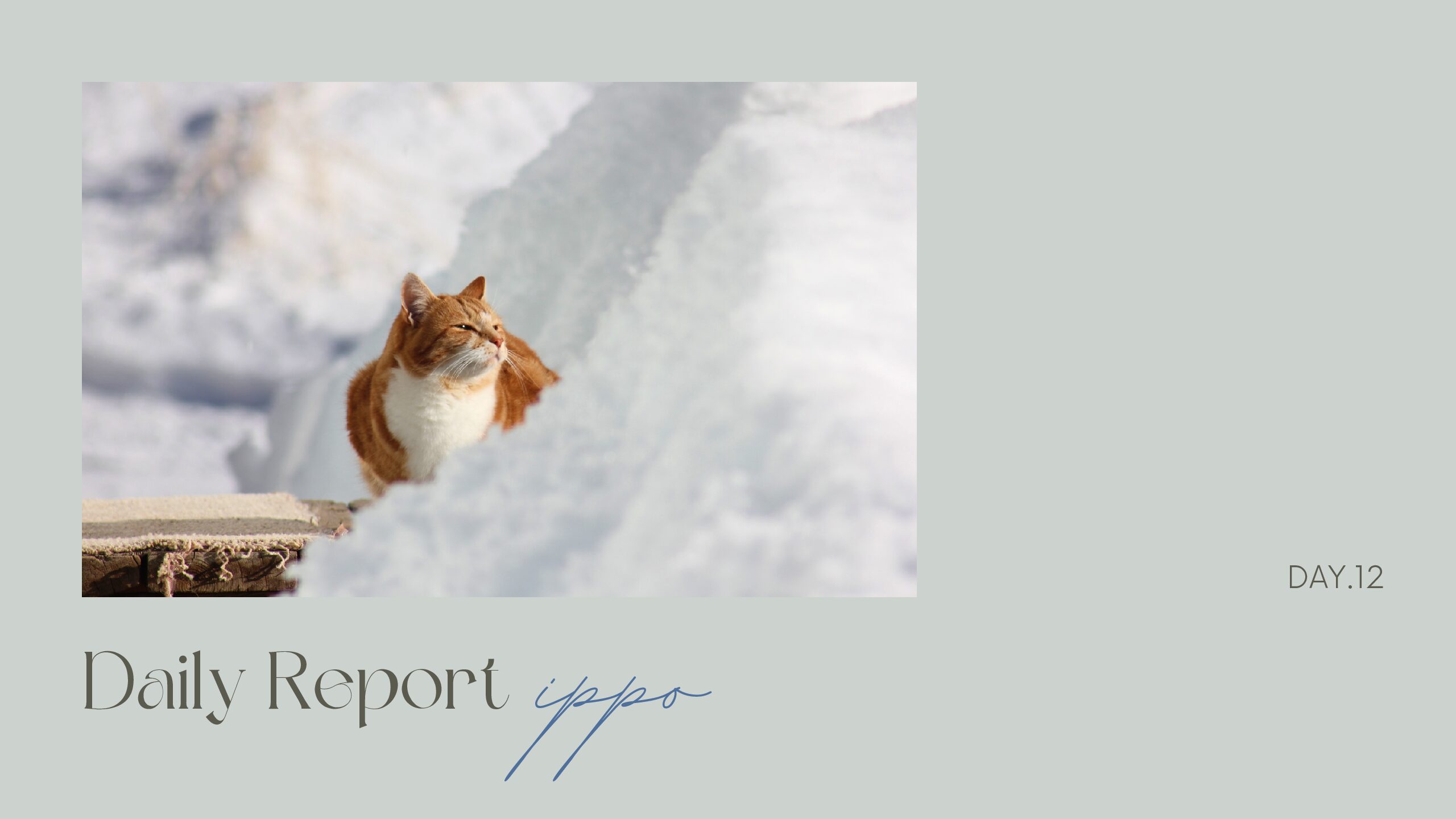 日報のアイキャッチ画像