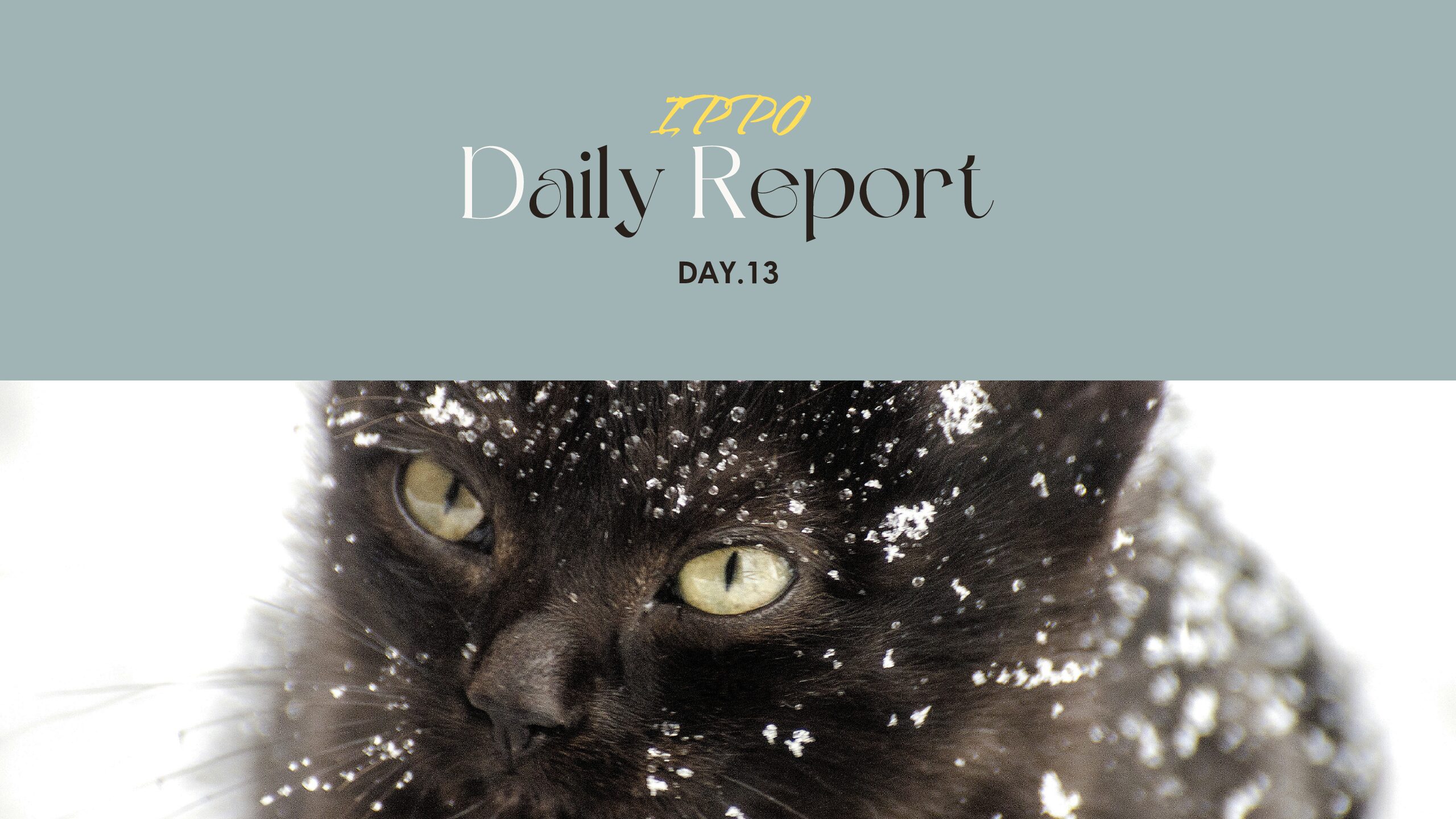 日報のアイキャッチ画像