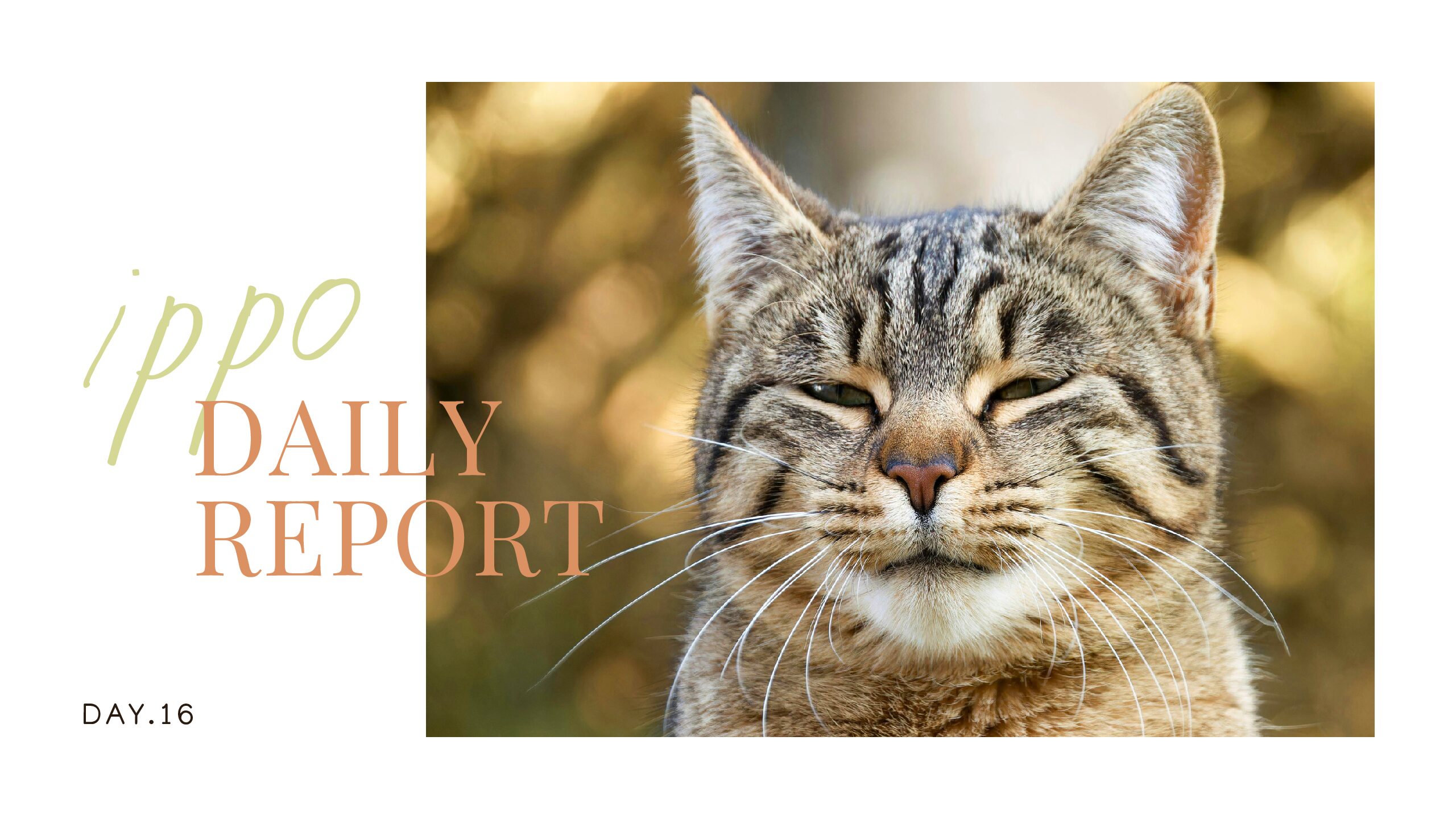 日報のアイキャッチ画像