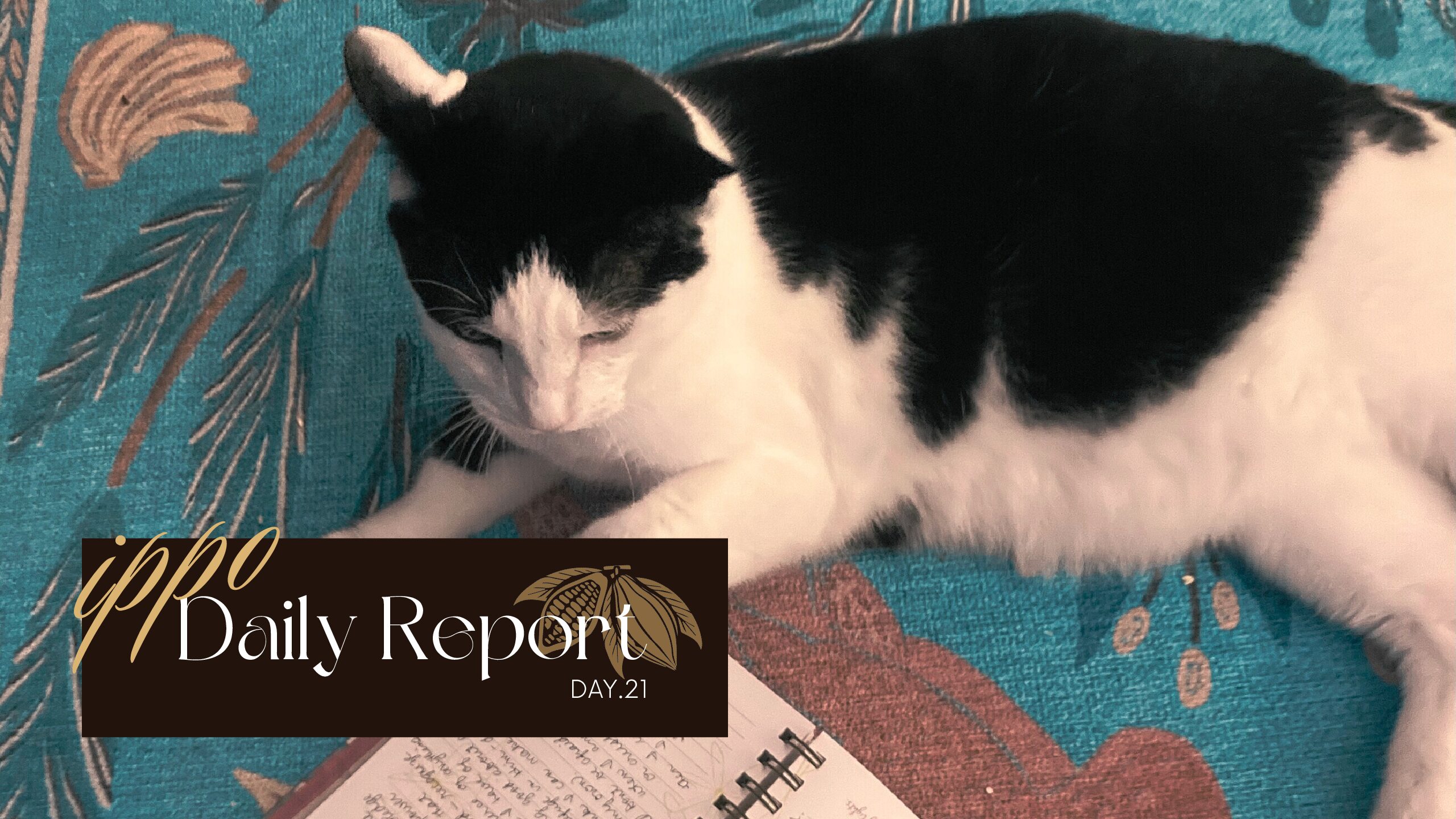 日報のアイキャッチ画像