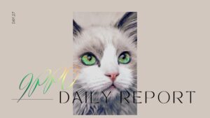 sophila/通所27日目/千葉県柏市の IT・Web・デザイン 就労支援ippo