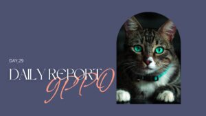 sophila/通所29日目/千葉県柏市の IT・Web・デザイン 就労支援ippo