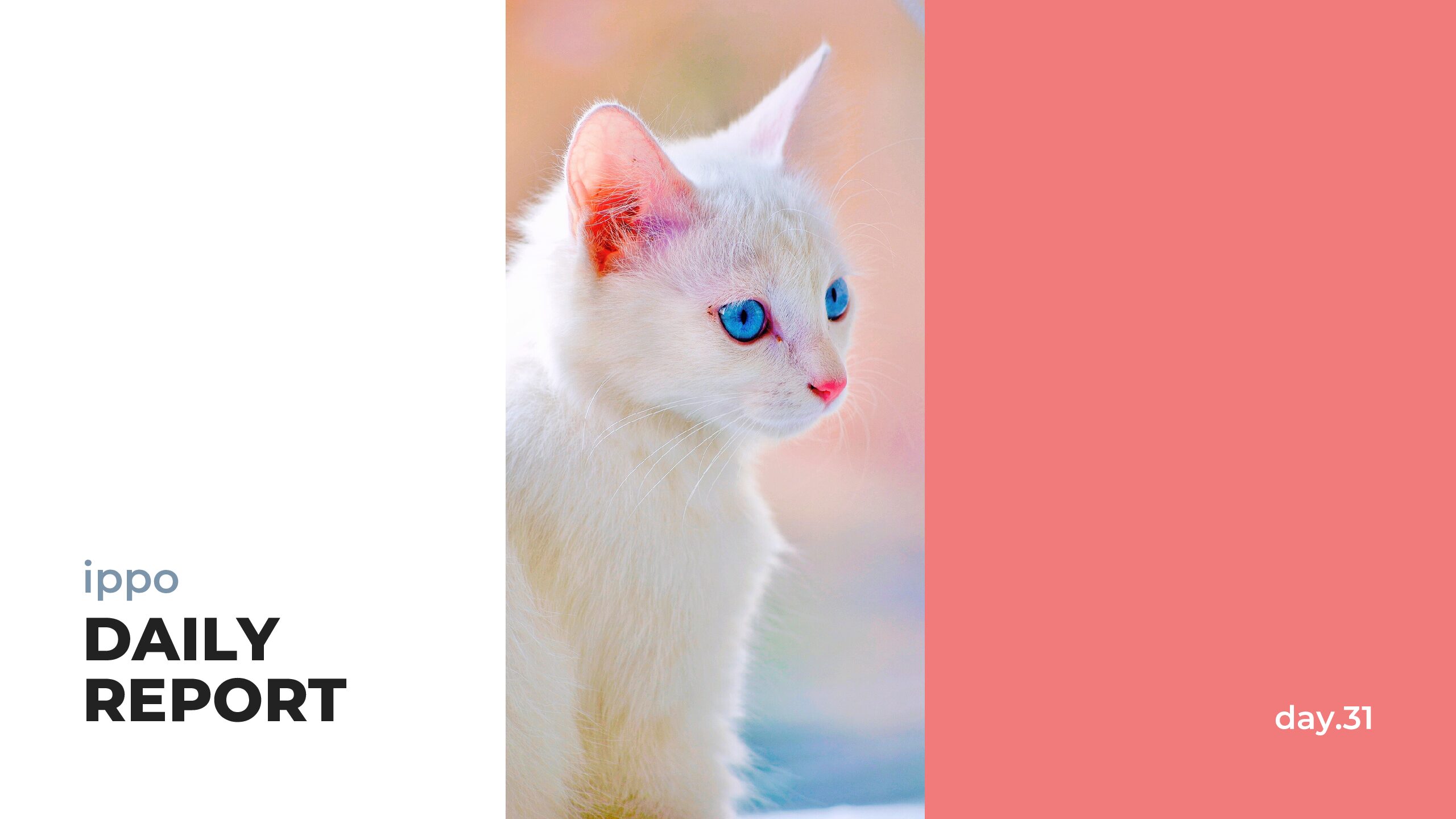 日報のアイキャッチ画像