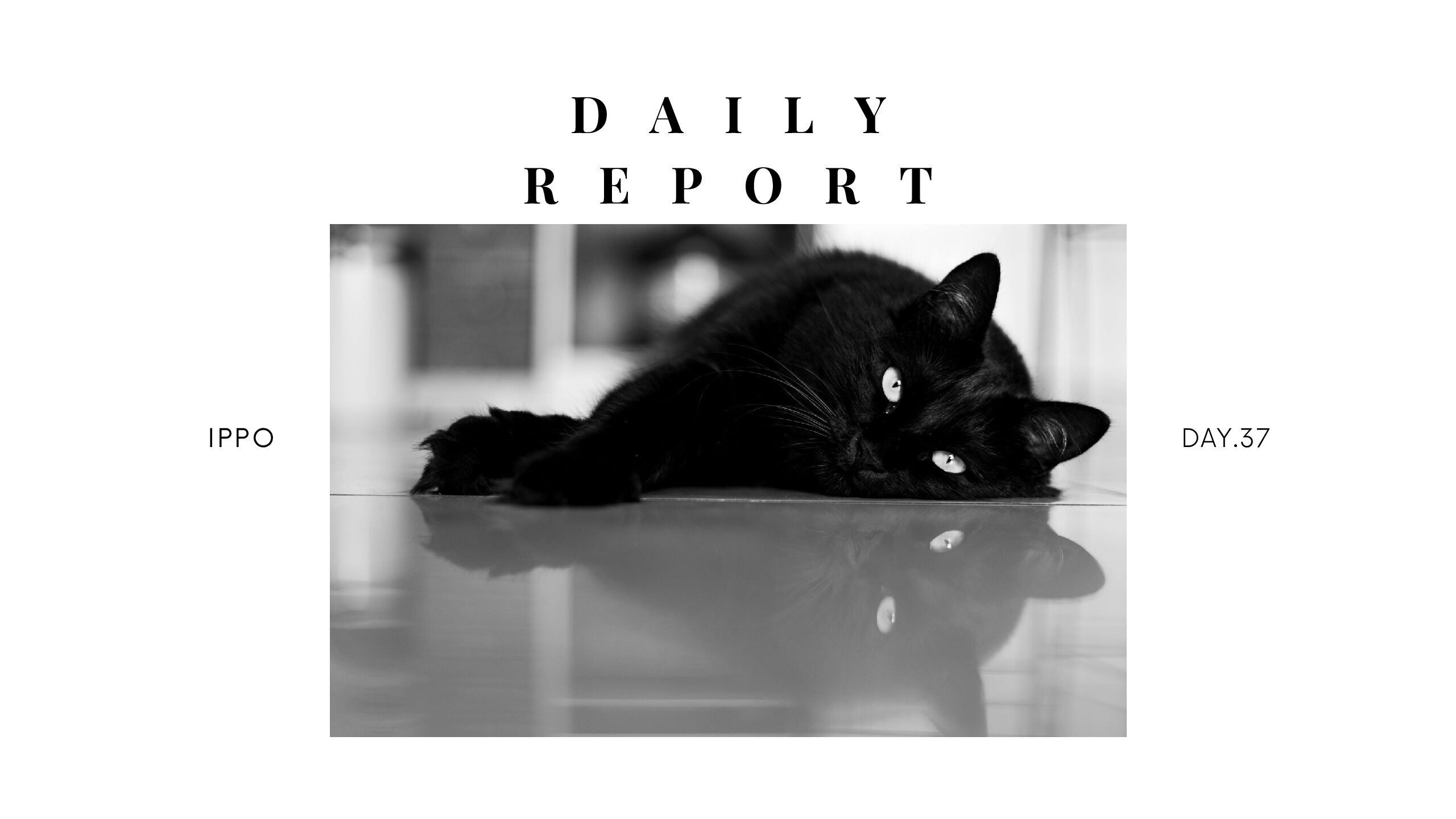 日報のアイキャッチ画像