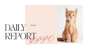 sophila/通所41日目/千葉県柏市の IT・Web・デザイン 就労支援ippo