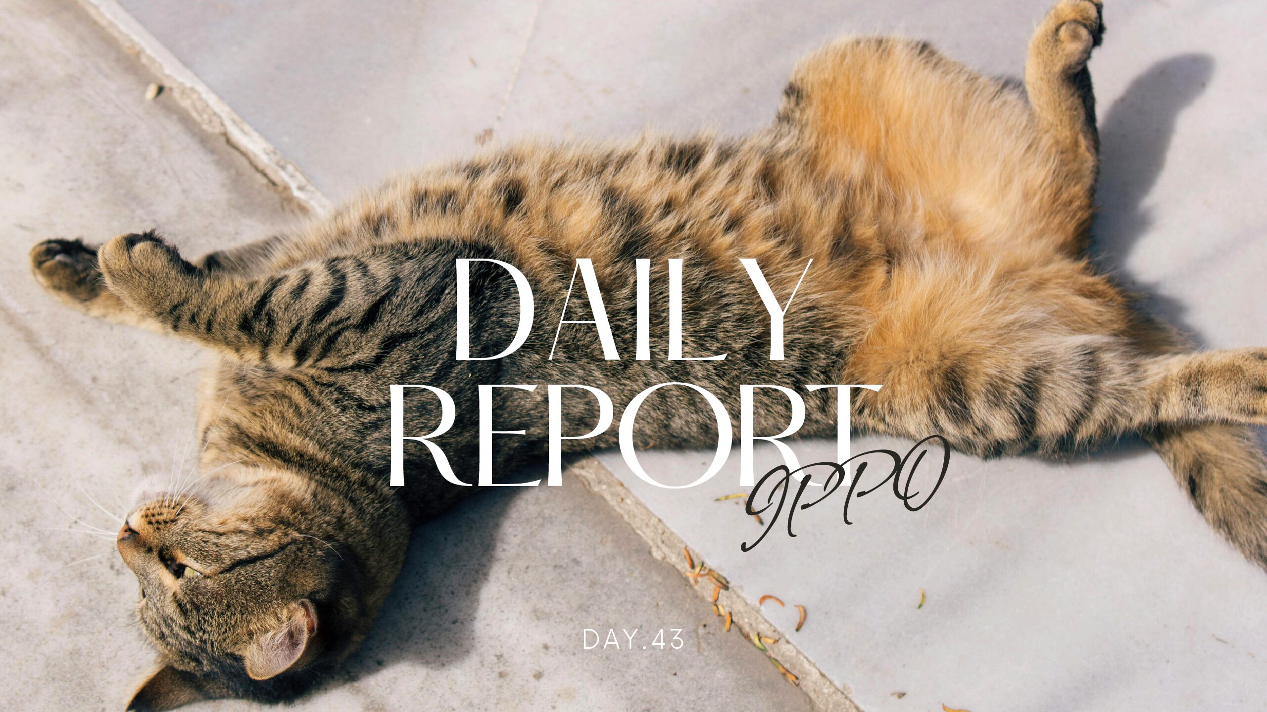 日報のアイキャッチ画像