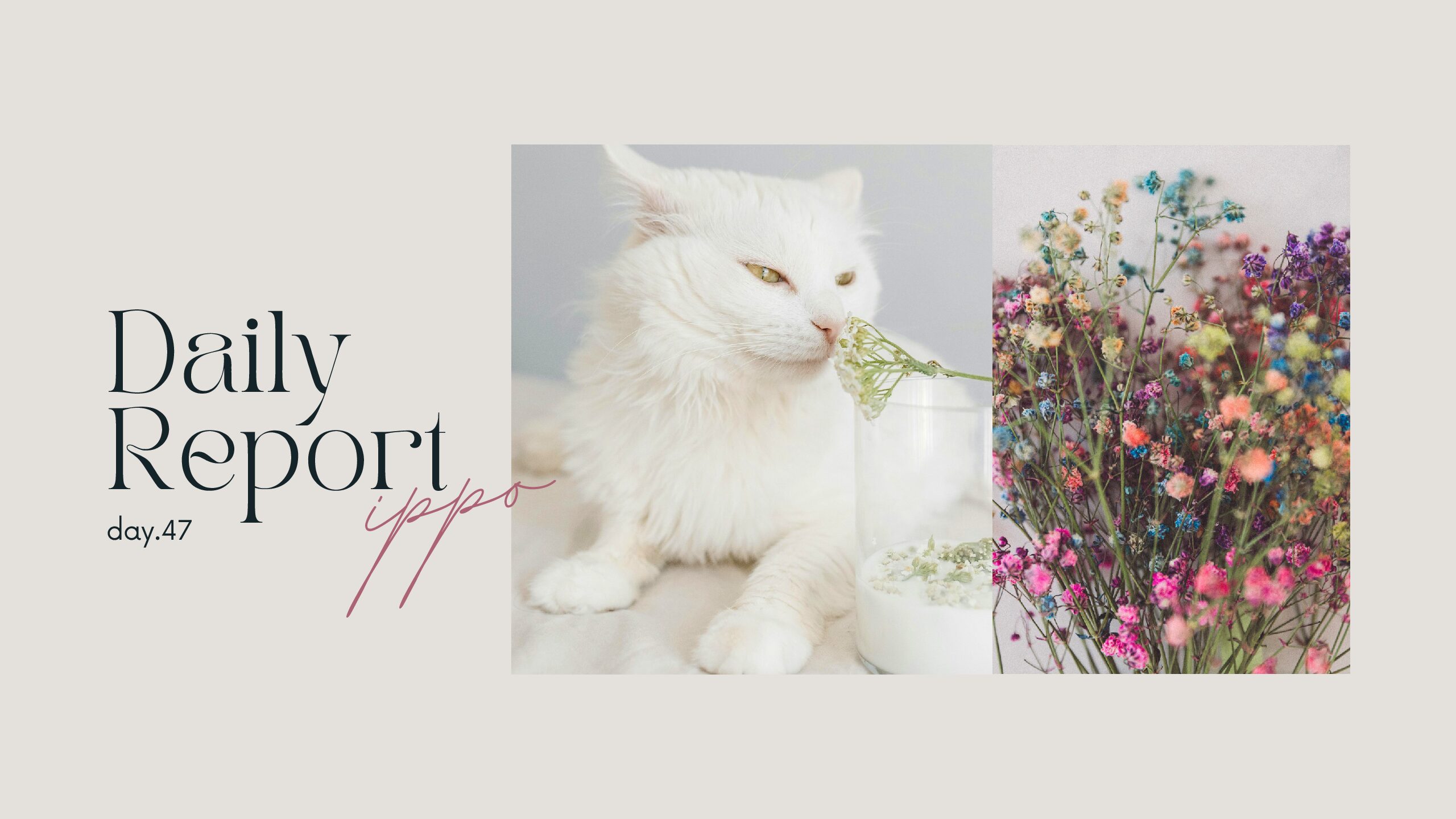 日報のアイキャッチ画像