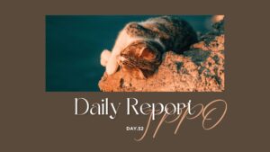 sophila/通所52日目/千葉県柏市の IT・Web・デザイン 就労支援ippo