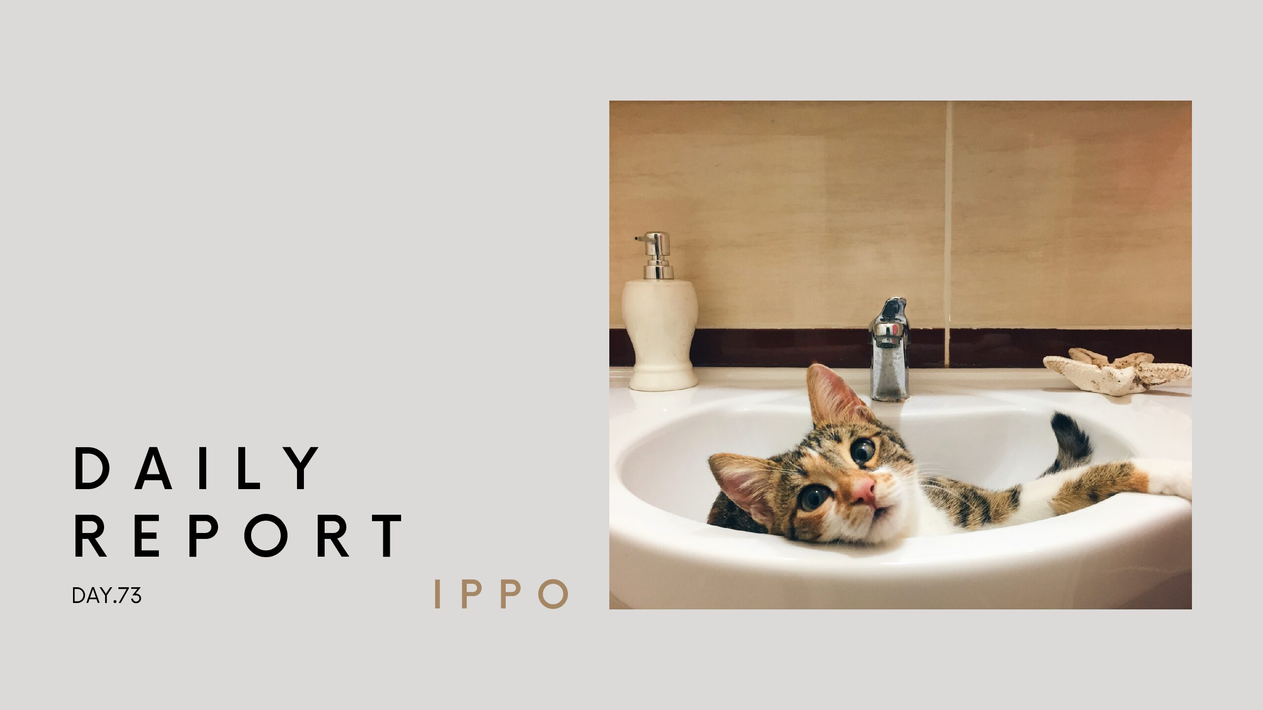 日報のアイキャッチ画像