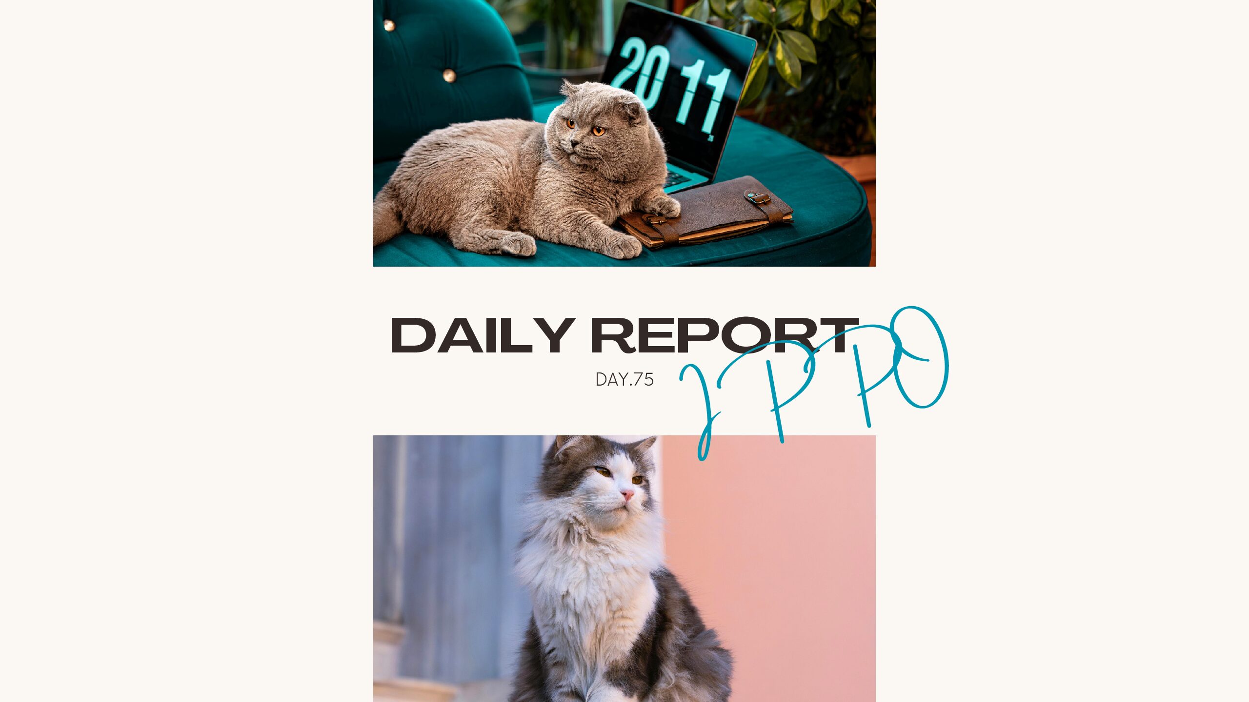 日報のアイキャッチ画像