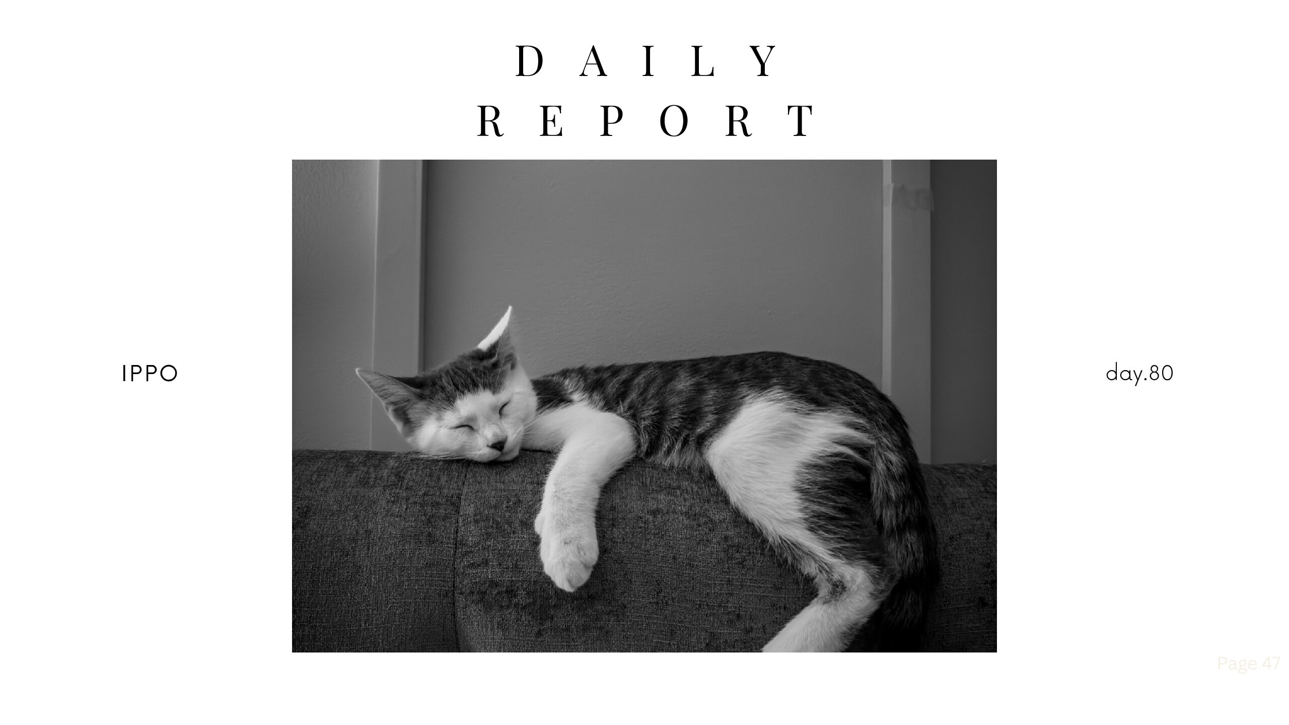日報のアイキャッチ画像