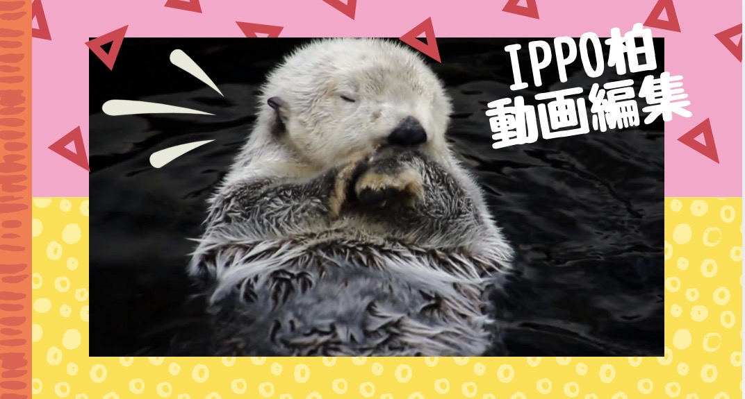 日報のアイキャッチ画像