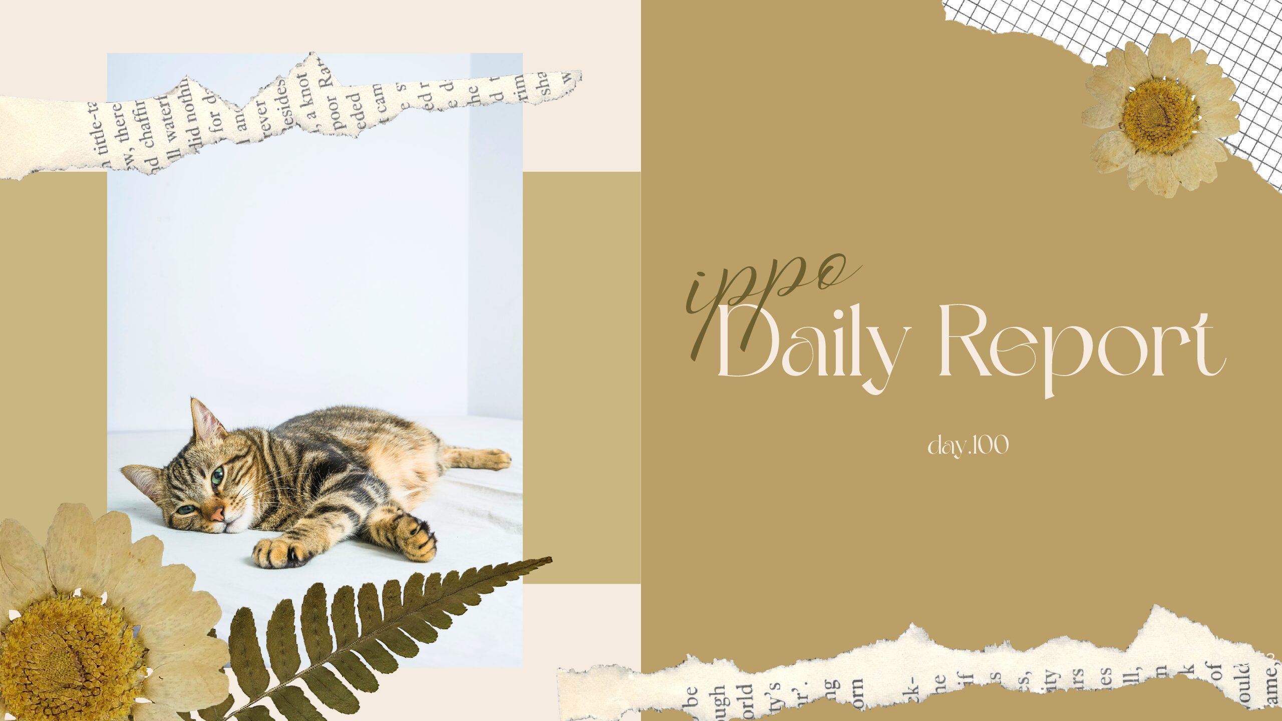 日報のアイキャッチ画像