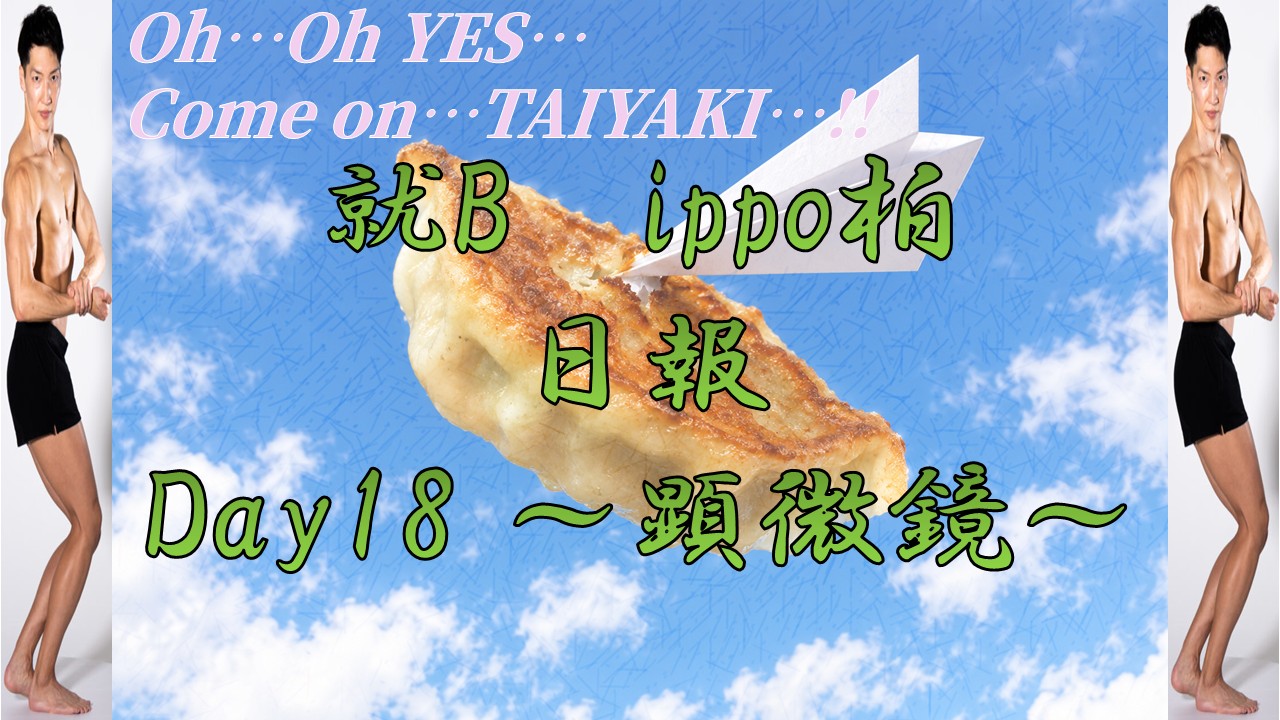 日報のアイキャッチ画像